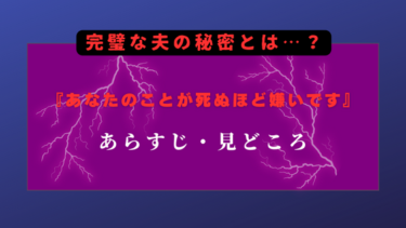 『あなたのことが死ぬほど嫌いです』あらすじや見どころを徹底解説！完璧な夫の秘密とは…？