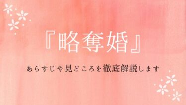 『略奪婚』あらすじや見どころをネタバレ解説！人生を変える出会いとは…？