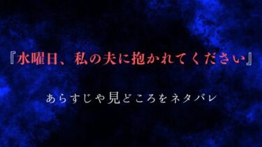 『水曜日、私の夫に抱かれてください』あらすじ・ネタバレ感想｜妻が決めた浮気のルール