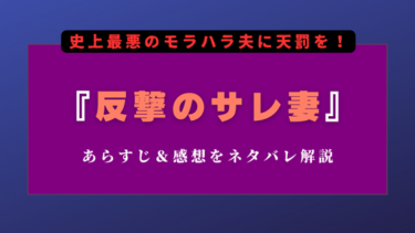 『反撃のサレ妻』全話あらすじとネタバレ感想｜史上最悪のモラハラ夫に天罰を！