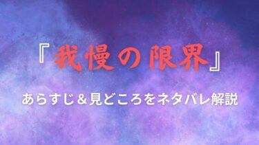 『我慢の限界』あらすじや見どころをネタバレ｜モラハラ夫に反撃開始！