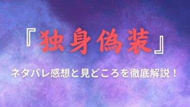 『独身偽装』ネタバレ感想と見どころ｜最終回の結末も徹底考察！
