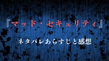 『マッド・セキュリティ』ネタバレあらすじと感想！社会の悪に正義の鉄槌を！