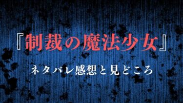 『制裁の魔法少女』１巻を読んだ感想（ネタバレあり）犯罪者に正義の鉄槌を！