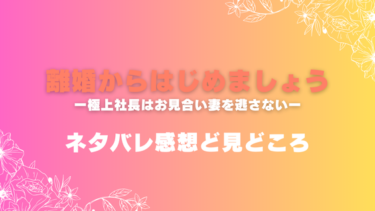 『離婚からはじめましょう』ネタバレ感想と見どころ！最終回結末はどうなる？