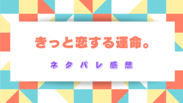 【きっと恋する運命】ネタバレありの感想！形式上の夫婦から真実の愛へ
