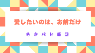 『愛したいのは、お前だけ』【ネタバレあり感想】契約結婚のお相手は俺様御曹司